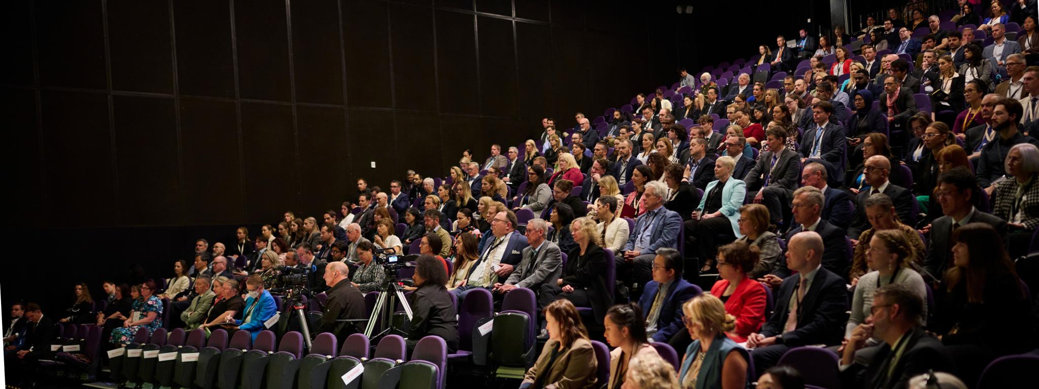 Banner - Crowd at NSC's Securing our Future conference