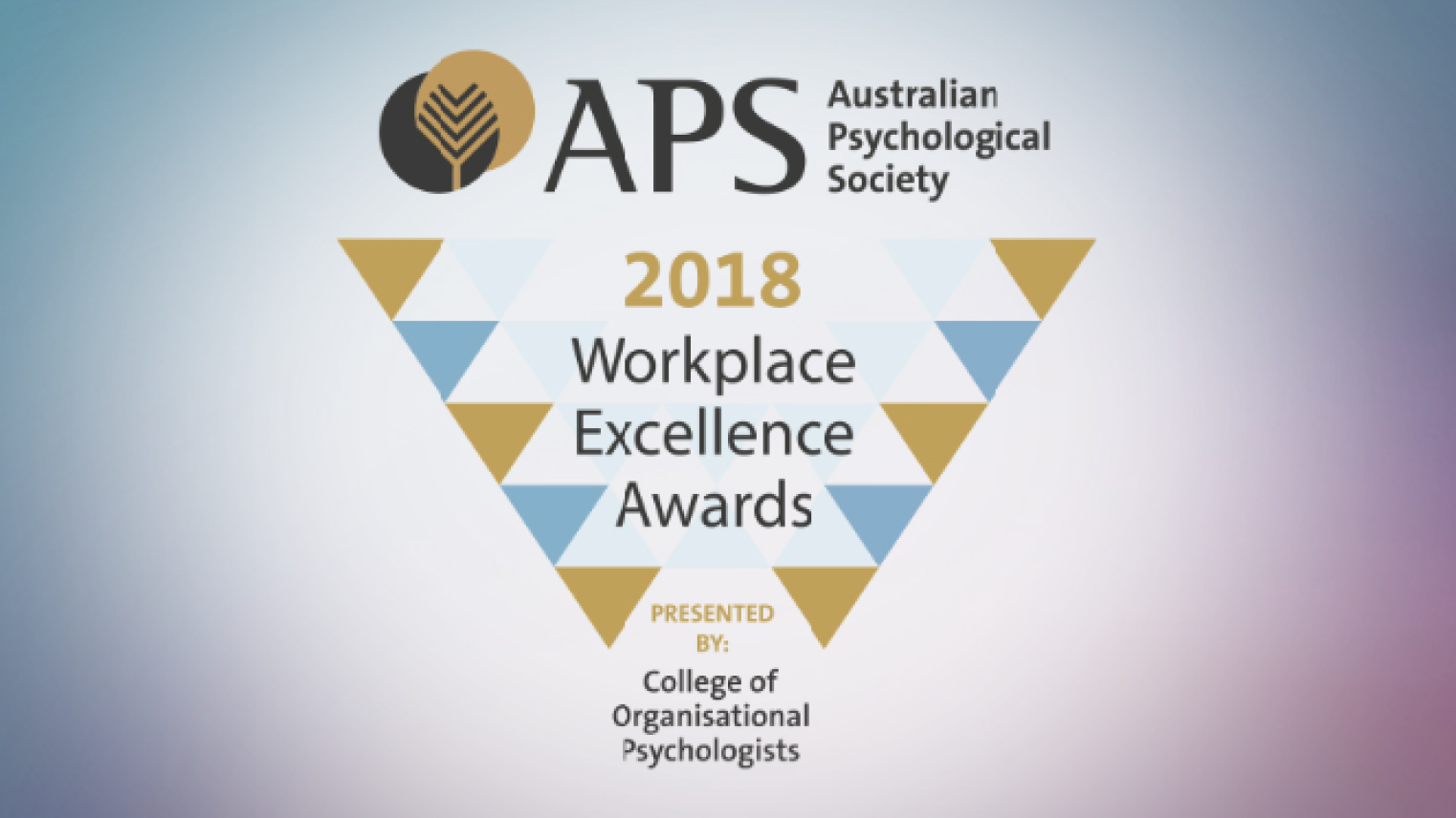 APS Workplace Excellence Awards 2018 winner